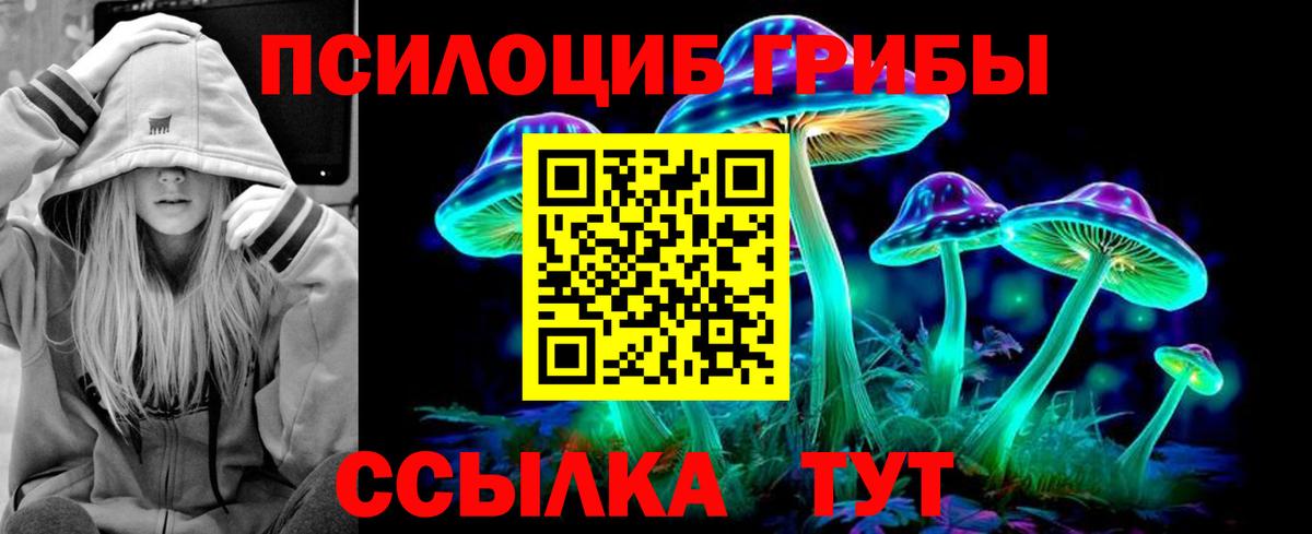 Галлюциногенные грибы GOLDEN TEACHER Чебаркуль