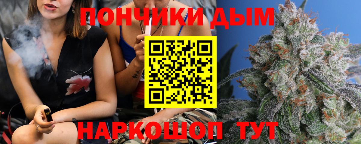 Бошки марихуана сатива Чебаркуль